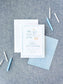 Birthday invitation featuring a playful goose illustration in soft blue tones, accompanied by matching candles and envelopes on a textured background.